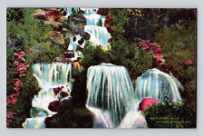 Postcard California Mt Shasta CA Lower Falls Wild Flower 1910s Posted Dunsmuir picture