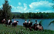Henryville PA-Pennsylvania Horse Equestrian Pocono Mts  c1961 Vintage Postcard picture