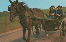Greetings From Amish Country Family In Horse Buggy PN Chrome Vintage Postcard picture