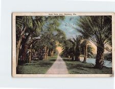 Postcard Date Palm Avenue Daytona Florida USA picture