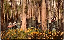 Canoeing in Cypress Gardens Charleston SC- Hand Colored Albertype Postcard picture