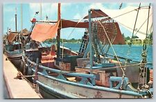 Postcard Sponge Fishing Boats Tarpon Springs Florida FL 1969 picture