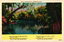 Beautiful Suwannee State Park River LIVE OAK Florida Postcard picture