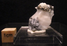 Native Crystalline Silver On Fluorescent Calcite Bou Azzer Mining Dist Morocco picture