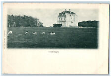 c1905 The Hermitage Building Animal Scene Kongens Lyngby Denmark Postcard picture