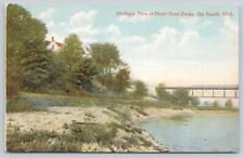 Big Rapids Michigan, Muskegon River at Maple Street Bridge Antique 1911 Postcard picture