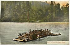 Early 1900s Postcard Ferry at Sedro-Woolley Washington - Horses - Skagit River picture