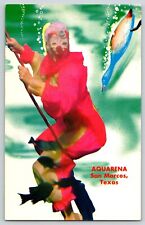 Postcard Aquarena Springs - Clown Mermaid w Fish & Diving Ducks - San Marcos Tex picture