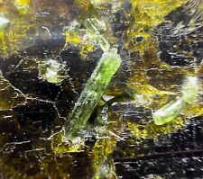 225 Carat Very Beautiful Epidote With Diopside Crystals Bunch @PAK picture