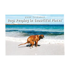 2024 Wall Calendar Dog Pooping Monthly Funny Hangable Paper Calendar picture