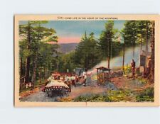Postcard Camp Life in the Heart of the Mountains picture
