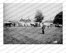Country fair panorama soft shell crab sign 8x10 c 1880s picture