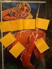 Cheetara Set Exclusive Limited To 10 Sold OUT Tuxedo Tiger Comics picture