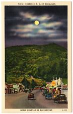 CHEROKEE NC Noble Mountain, Moonlight, Shell Gas Ad Sign North Carolina Postcard picture