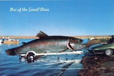 Car Hauling Exaggerated Fish 4x6 Postcard picture