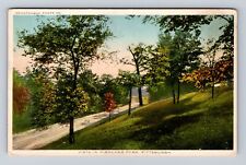 Pittsburgh PA-Pennsylvania, Vista in Highland Park, Antique Vintage Postcard picture