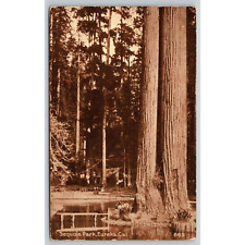 Postcard CA Eureka Sequoia Park On The Road Of A Thousand Wonders picture