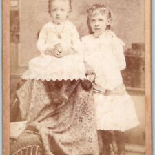 c1870s Oak Harbor OH CDV Adorable Puppy Dog Eye Girls Purse Bag Photo Hoover H34 picture