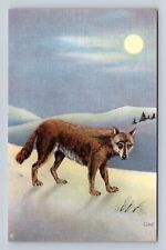American Wildlife Of The Northwest & Alaska, Timber Wolf Vintage Postcard picture