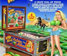 Whoa Nellie Big Juicy Melons Flyer Original Pinball Machine Sexy Lady Risque picture