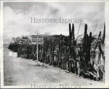 1942 Press Photo Cactus fences & sign near US Air Force base in the Caribbean picture