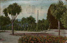 California Riverside Albert S White Park Cactus bed ~ postcard  sku431 picture
