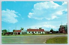 Willmar Minnesota~Van Rysbergen's Nursery~Windmill~1950s Postcard picture