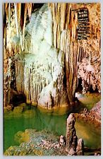 Sacred River Wishing Well Luray Caverns Virginia Cave Interior Vintage Postcard picture
