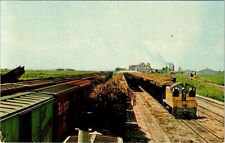 Trainload of Sugarcane, U.S. Sugar Corporation, CLEWISTON, Florida Postcard picture