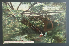 Saratoga Creek and Bridge near San Jose CA Unposted DB Postcard picture