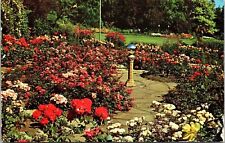 Victoria BC Canada Butchart Gardens Gazing Ball Polyantha Roses PM Postcard picture