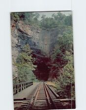 Postcard Natural Tunnel Duffield Virginia USA picture