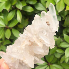 419G Large Natural Clear White Quartz Crystal Cluster Energy Healing Specimen picture