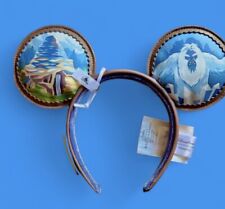 NWT Club33 Disneyland lounge fly Matterhorn 65th anniversary exclusive picture