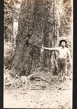 RPPC Postcard Real Photo Giant Tree Man Double Bladed Broad Axe Lumberjack 1900 picture