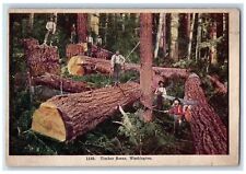 c1920's Timber Scene Cutting Big Trees Lumber Loggers Washington WA Postcard picture