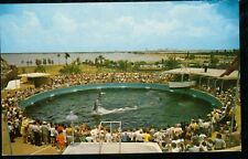 Miami's Fabulous Seaquarium Miami Florida FL Postcard Chrome picture
