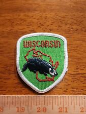 Vintage State of Wisconsin Patch  V2 picture