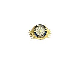 Daughters of the American Revolution Heritage Club lapel pin no back magnet  picture