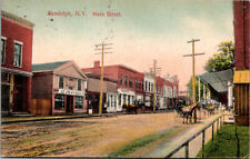RANDOLPH, NEW YORK - HORSE-DRAWN MAIN STREET - ICE CREAM - 1909 - OLD POSTCARD picture
