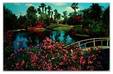 Vintage 1950s - Famous Florida's Cypress Gardens, Florida Postcard (UnPosted) picture