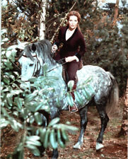 Unidentified Actress on Horse 8x10 photo #M1951 picture