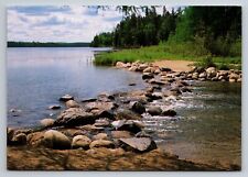 Itasca State Park Minnesota Mississippi River Headwaters Vintage Unposted picture