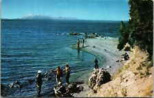 Fishing Along The Shores Yellowstone Lake For Cutthroat Trout Haynes Postcard picture
