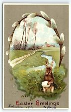 1911 EASTER GREETINGS BUNNY RABBIT EGGS SCENIC POSTCARD P3294 picture