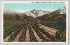 Postcard Baldy From the Orange Groves of California picture