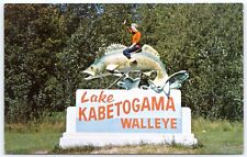 Postcard MN Ray Minnesota Lake Kabetogama Walleye Fish Sculpture Sign B44 picture