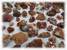 50pc Whole Flat Collection  -  Vanadinite on Matrix Crystal Specimen Lot Morocco picture