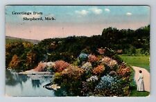 Shepherd MI-Michigan, Scenic Greetings Vintage Souvenir Postcard picture