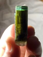 70 Carats Top Quality Green Cap Tourmaline Crystal from Astak Nala Pakistan picture